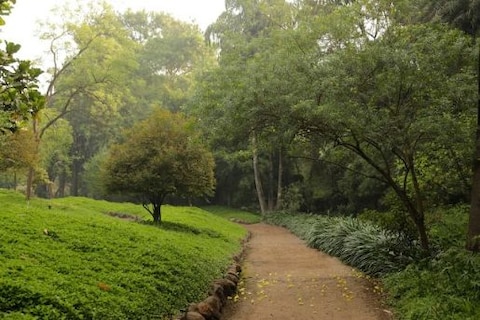 Seek Spiritual Bliss at Osho Meditation Resort